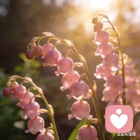 真正为你好的人，只会默默地支持你，而不是打着为你好的旗号干涉你！配图