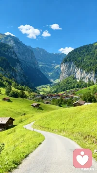 桃李不言，下自成蹊！真正能吸引到人的永远是高贵的品质，而不是美丽的外表！配图