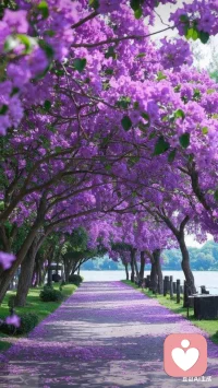 真正的强者从不认为自己很强，反而谦虚地向别人学习自己不足的方面！配图