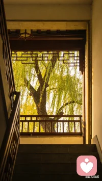 任何事情都怕坚持，只要认准方向，坚持不懈地去做，一定会有成功的那一天！配图