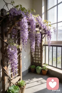 累了的时候什么也不要想，倒头呼呼大睡，睡醒来就发现恢复了能量！配图