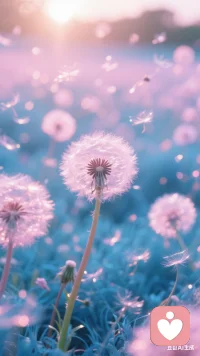 当幸福来敲门是一部非常值得反复观看的影片，它可以给予低谷期的人们强大的精神力量！配图