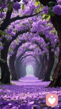 要相信人性，而不是人品，因为人品可以伪装，而人性是无法伪装的！配图