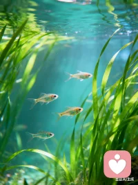 世界上不存在真正的感同身受，因为人类的悲欢离合都是不相通的！配图