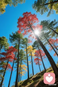 职场中最令人心累的不是工作，而是复杂的人际关系！因为人远比事难处理！配图