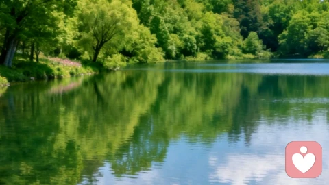 爱，是寻常岁月里的温柔相依