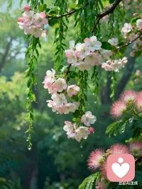 真正明智的家长都懂得给予孩子一定的空间，而专制的家长只想掌控孩子！配图