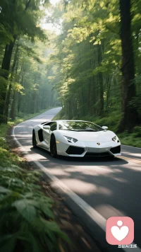 年龄越大，越发现没有任何人可以永远陪自己，走到最后都是孑然一身！配图