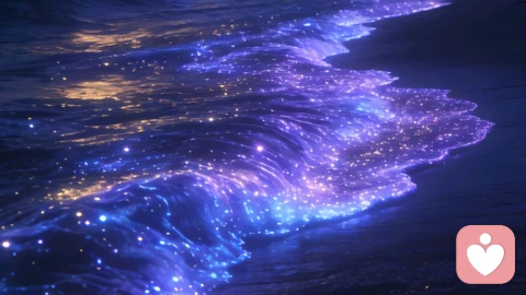 自律，是你送给自己最好的礼物