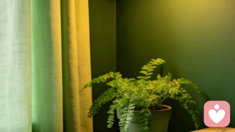 在喧嚣中，给自己留一块静音键