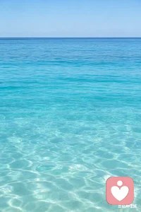 正是因为，世界上从来没有两片完全相同的树叶，也没有完全相同的两个人，这个世界才会如此丰富多彩！配图