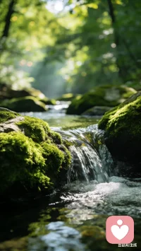 生活中的很多问题，都需要自己耗费一定的时间和精力去研究和分析，而不是直接去问别人！配图