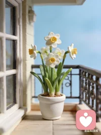 在人生的旅程中，挫折永远多余顺心，所以有了我们常听到的一句话，人生不如意十之八九！