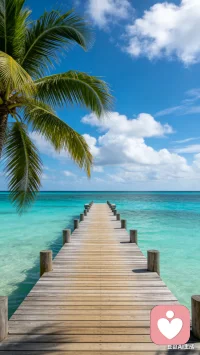 良心这个东西有就是有，没有就是没有！我们永远无法期望所有人都有！配图