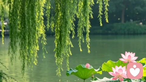 追光而行,榜样为灯