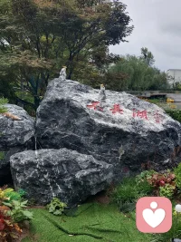 人到一定年龄，要懂得静而不争，万般随缘。来者珍惜，去者放手，如果无能为力，那就顺其自然。