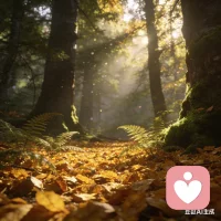 允許情緒有出口，允許自己偶爾停下來。心里的褶皺慢慢熨平，日子就會變得溫柔起來。??