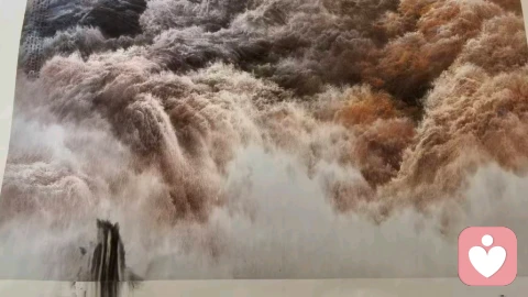 ​调解婚姻时想起徐惠君的画——再恢弘惊艳的图景里，也藏着些许不完美，而这些小瑕疵从不会掩盖整体的光彩，反而让画面更有温度。人生如此，婚姻亦然！??\n     