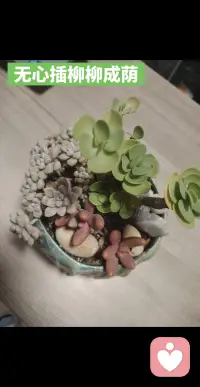 處世六條法則！ 
1.不羨慕任何人的生活，誰家鍋底都有灰， 別人的風光背后，可能是一地雞毛。
 2.明處要忍，暗處要狠。高人善于暗斗，表面風平浪靜，底下早已暗流涌動。
 3.永遠不把希望寄托在任何人身上。愛情、 友情皆是如此，自己不優秀，認識誰都沒用。路要自己走，苦要自己吃，靠自己才是最大的底氣。 
4.不做殺敵一干、自損八百的傻事。凡事從利益角度衡量，對自己沒好處的，堅決不做。 
5.不輕易向他人展示自己的底牌，以免招來不必要的麻煩。 
6.永遠不埋怨，埋怨是利刃也是毒藥，既消磨心志，又滋生自卑。配圖