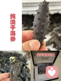 性是肉体生活，遵循快乐原则，爱情是精神生活，遵循理想原则，婚姻是社会生活，遵循现实原则，是三个完全不同的东西。