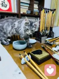 人这辈子，只做三件事就够了。
第一件事是研究挣钱，钱能解决人生中90%
的问题,剩下的10%可以用钱解决;
第二件事是研究人性，只要看透人性，你就
能在这个社会上立于不败之地；
第三件事是爱护身体，一个人最大的错误，
就是用健康换取身外之物。配图