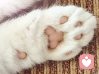 這個世界上有一種愛...
愛的放棄自尊放棄自信放棄自我...
最終，被對方放棄...