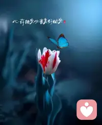 當你真正開始愛自己，才會認識到，所有的痛苦和情感的折磨，都只是提醒你：活著...不要違背自己的本心。配圖