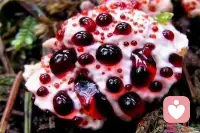 這個世界上總有極少數的毒蘑菇...
她長在任何地方都是哪里所有人的災難...
她們從不自省，永遠對這個世界上的所有人釋放著無限的惡意，仿佛沒有任何溫暖和陽光可以治愈她...
面對來自這個世界滿滿的善意依然堅定的釋放著自己全部的惡毒...
我可以理解你之所以走到今天的原因，卻沒有任何義務去忍受一次次來自你無端的惡意攻擊依然強迫自己保持對你滿滿惡毒回饋溫暖！配圖