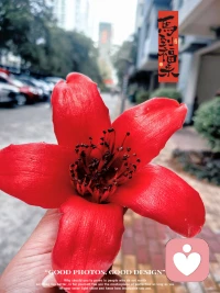 当此刻的困难远超你的能力之时...
人就开始相信命运...
命运，粉饰一切～
命运，接受一切～配图