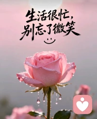 在不起眼的日子里默默的努力，慢慢向前！