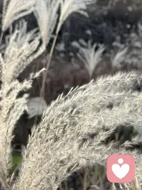 卸下內(nèi)心的包袱
敢于直面內(nèi)心的恐懼
平靜是最好的感知力
但平靜并不容易