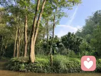 別把心事?tīng)€在肚子里！你的“小眾困擾”我都懂

寶子們有沒(méi)有過(guò)這種時(shí)刻：
心里藏著說(shuō)不出口的困惑——可能是親密關(guān)系里的性心理糾結(jié)，可能是對(duì)自己特殊偏好的自我懷疑，可能是情緒內(nèi)耗到深夜卻沒(méi)人敢傾訴，怕被貼“奇怪”“變態(tài)”的標(biāo)簽？

作為深耕3年的心理傾聽(tīng)?zhēng)煟乙?jiàn)過(guò)太多人因?yàn)椤芭略u(píng)判”硬扛情緒：
? 不敢和伴侶聊性偏好差異？
? 對(duì)自己的“特殊需求”感到羞恥？
? 親密關(guān)系里的隱性矛盾越積越深？

在這里，沒(méi)有“標(biāo)準(zhǔn)答案”，沒(méi)有偏見(jiàn)標(biāo)簽，只有：
?? 100%保密的安全空間
?? 不打斷、不指責(zé)的專業(yè)傾聽(tīng)
?? 幫你理清心理邏輯的溫柔引導(dǎo)

不管是性心理困惑、親密關(guān)系卡點(diǎn)，還是情緒內(nèi)耗的小秘密，都能放心說(shuō)——你的感受不是“異常”，只是沒(méi)被真正聽(tīng)懂過(guò)。

?? 今日福利：
關(guān)注+私信“傾聽(tīng)”，抽3位寶子免費(fèi)獲得10分鐘一對(duì)一傾聽(tīng)機(jī)會(huì)！
私信預(yù)約正式咨詢
別讓“不敢說(shuō)”消耗自己，你的心事值得被認(rèn)真對(duì)待?
#心理傾聽(tīng) #情緒內(nèi)耗 #親密關(guān)系 #性心理科普 #心理咨詢師 #心事傾訴