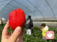 “能感受到爱的孩子，才敢不听话。”
“感受不到爱的孩子，反而会很乖。”
    这不是叛逆，是底气
    这不是懂事，是恐惧