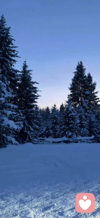 每一次接收與傳遞溫暖，都在默默加固我們的心理韌性——原來最踏實(shí)的幸福，往往始于為他人、也為自己，輕輕呵出的冬日里的那一小團(tuán)白氣。