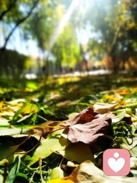 让孩子👶🏻做一个独立思考、拥有正确的判断意识，成为一个有主见的人，那也许就在于我们的言传身教与认知上的引导吧！

当我们遇到事情不急着给答案，而是说：“我也拿不准，咱们一起想想？”孩子的大脑就在建立“自主判断”的路径。

所谓主见，不是天生就有自己的声音，而是先在心里安装过很多种别人的思考方式——然后有一天，他发现：“我可以组合它们，形成我自己的。”🧠

也许真正的言传身教，是让孩子看见“思考”本身的发生过程。[爱心]