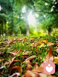 看着窗外，能自由的呼吸，就是无价的财富！