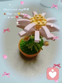 冥想课结束后拼了一朵老师送的小雏菊，可以耐下心来完成这个小小的手工，小小的成就感也有了！

“生命之书”里提到:欲望必须被了解，而不是被摧毁。如果一味地摧毁欲望，很可能把生命也毁掉了。如果你去塑造欲望、控制欲望或是去压抑它，都可能毁掉生命不可思议的美！配图