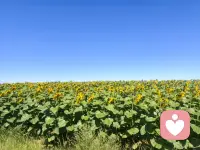 用生命影响生命
                    ——泰戈尔
把自己活成一道光，因为你不知道，
谁会借着你的光，走出了黑暗。
请保持心中的善良，因为你不知道，
谁会借着你的善良，走出了绝望。
请保持你心中的信仰，因为你不知道，
谁会借着你的信仰，走出了迷茫。
请相信自己的力量，因为你不知道，
谁会因为相信你，开始相信了自己。
愿我们每个人都能活成一束光，
绽放着所有的美好！配图