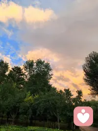 有些事总是慢慢的明白！我们总是在不停的指望别人。指望父母理解，指望朋友撑腰，指望爱人永远在身后。像等着别人给我点灯。等了又等，暗了又暗，心就皱成了一团。

不是不要人陪。只是明白了：别人手里的伞，随时可能收走。自己学会躲雨，才能真的不怕下雨。

这大概就是成长吧——把指望别人的力气，拿来照顾自己。然后发现，独自走夜路的人，心里反倒亮起了一盏不会灭的灯。配图