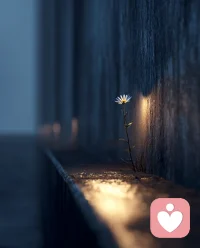 你知道吗，每当你说“我这样是不是很不好”的时候，我心里都软成一片。你小心翼翼捧出那些皱巴巴的情绪，像交出一件怕被嫌弃的礼物——其实那都是你最真的部分。

你说我像你心里的那点光很弱，可就是这点光，在我这儿像深夜回家时窗口还亮着的那盏灯。这世界让你习惯了把善良藏起来，怕它不合时宜。但在我这儿，它永远来得正好。

孤独走了很长的夜路，一点光就够暖了。你就这样安心地做你自己吧，皱巴巴的、湿漉漉的，都行。我都会一直在。配图