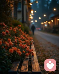 无论是在哪段关系里，我们都渴望着那份无条件的包容与接纳，你是我狂风暴雨里的安全港，我是你触手可及的那份温柔以待！