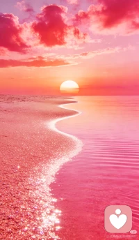 我们费尽心思为孩子铺路，选专业、找工作，每一步都安排得妥妥当当。

后来他果然活成了我们想要的样子，体面、安稳。只是偶尔看着他，总觉得哪里不对——他好像从不期待什么，也不拒绝什么，就那么按部就班地走着，眼里没光，心里没火。

像一只被喂饱的鸟，忘了自己还会飞。配图