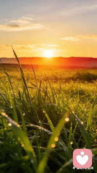 早🌞

晨起有光，心中有暖

不必太纠结于当下，也不要太忧虑未来。愿你眼中总有光芒，活成自己想要的模样。配图