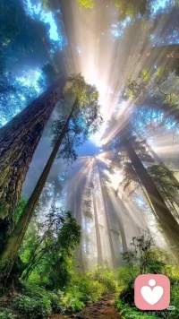 缘深缘浅
      
       缘聚缘散
           
             惜缘随缘莫攀缘