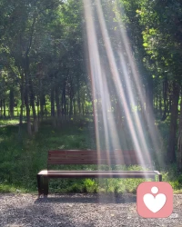 弘一法师说:“终有一天你会静下来,像个局外人一样回顾自己的故事,然后笑着摇摇头,浮生不过梦一场,所以能够给愈你的,从来都不是时间,而是内心的那份释怀和明日。”

人生哪有什么两全之策,短短百年,不过是教人取舍罢了。手持烟火以谋出,该来的来,该走的走,别抗拒，也别挽留。

生活,一半烟火,一半清欢;

幸福,一半争取,一半随缘,

人生,一半清醒,一半释然。