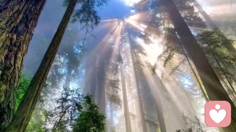 每一次的戒断都是在向重生迈进