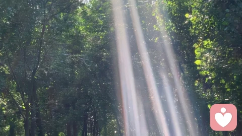 祛魅，收回投射，成为自己的光