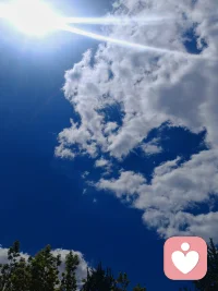 《自爱》
聚散随缘莫问因，相逢但惜眼前人。
风来云去皆天意，花落花开自在身。
不向尘嚣寻冷暖，且从心海养天真。
盈亏圆缺寻常事，独守灵台一点春。配图
