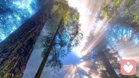 和NPD的生存法则