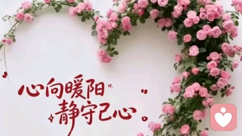 当被爱成为一种危险信号